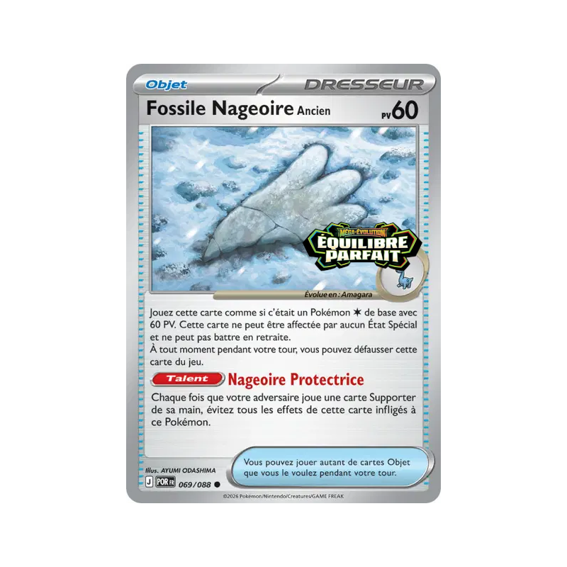 Fossile Nageoire Ancien – 069/088