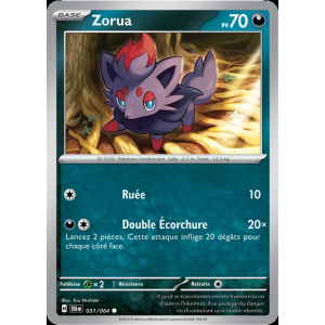 Zorua 31/64