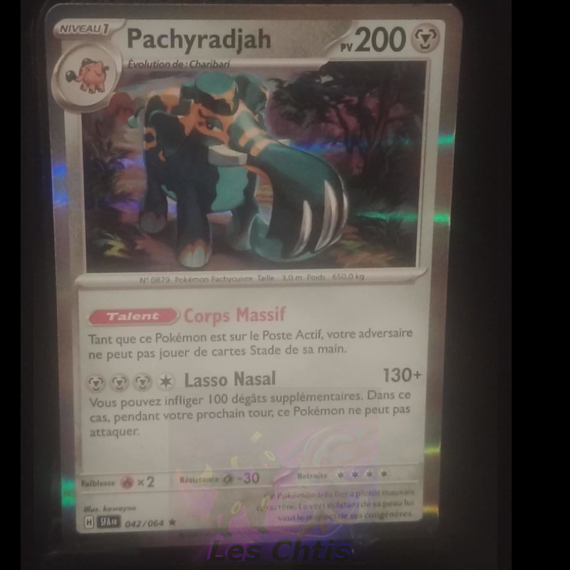 Pachyradjah 42/64