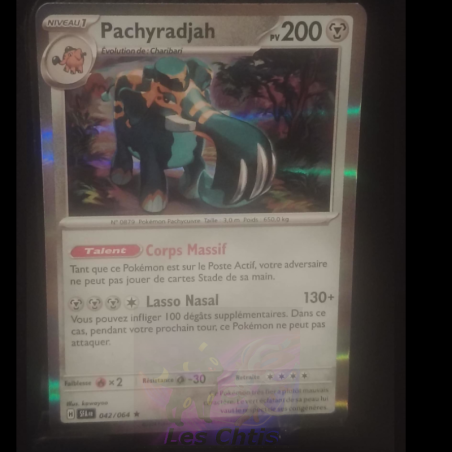 Pachyradjah 42/64