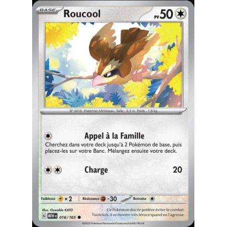 Roucool 16/165