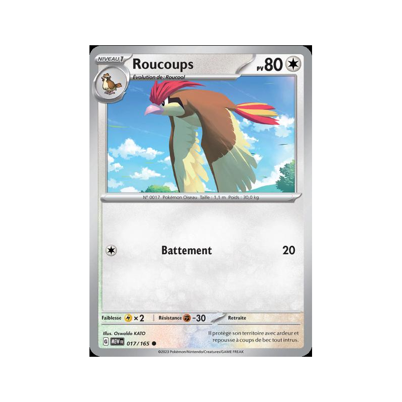 Roucoups 17/165