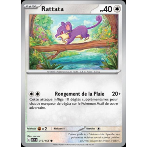 Rattata 19/165