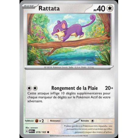 Rattata 19/165