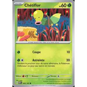 Chétiflor 69/165