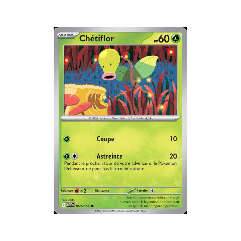 Chétiflor 69/165