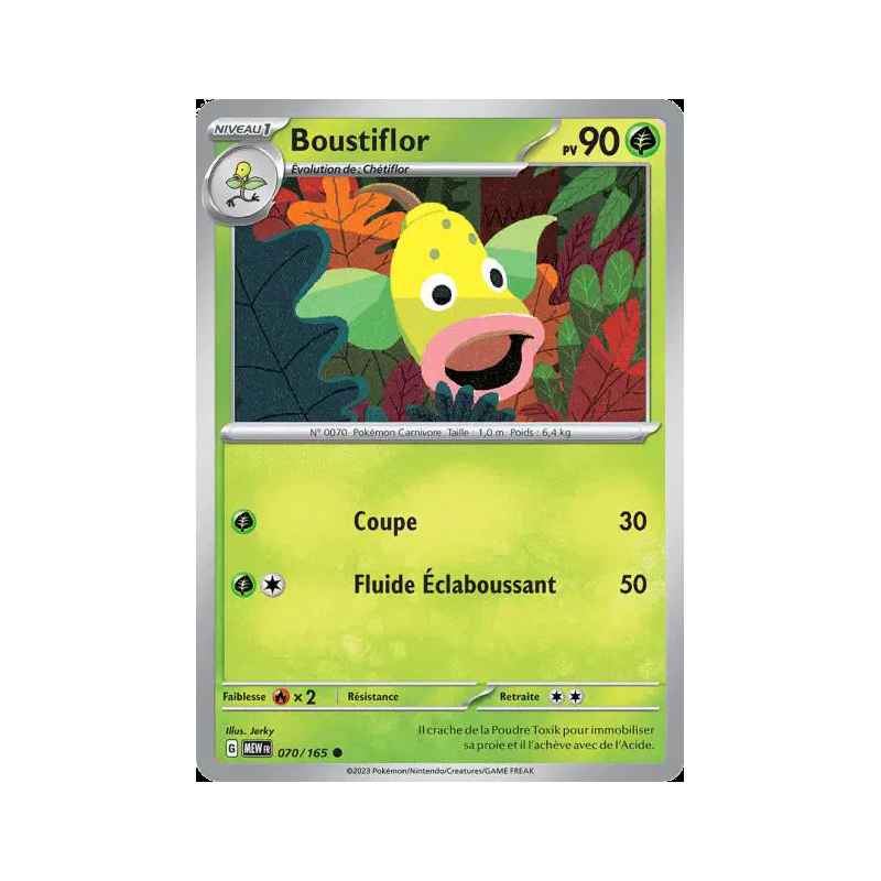 Boustiflor 70/165