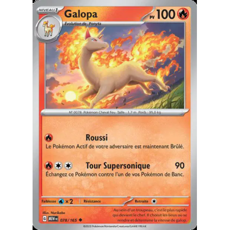 Galopa 78/165