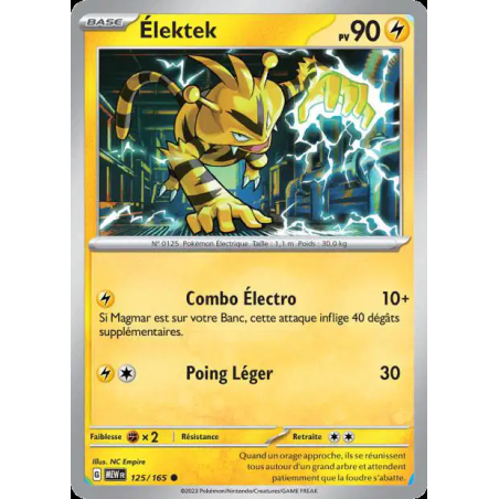 Elektek 125/165
