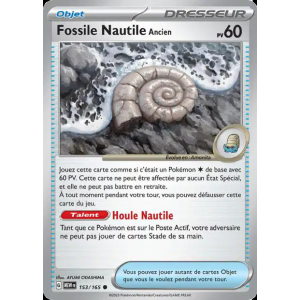 Fossile Nautile Ancien 153/165