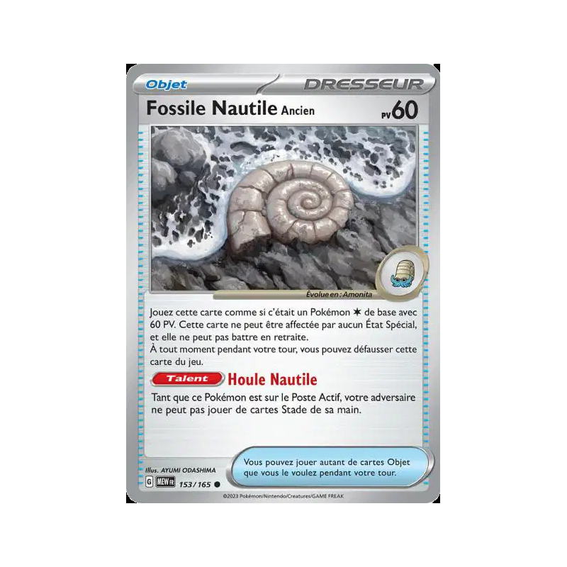 Fossile Nautile Ancien 153/165