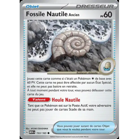 Fossile Nautile Ancien 153/165