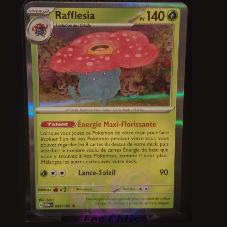 Rafflésia 45/165