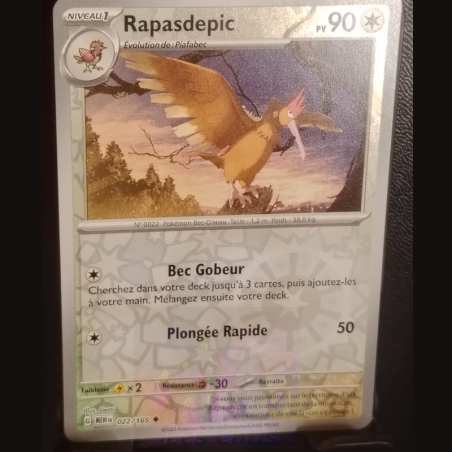 Rapasdepic 22/165
