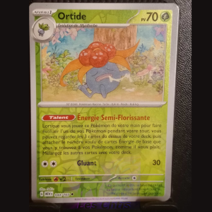 Ortide 44/165