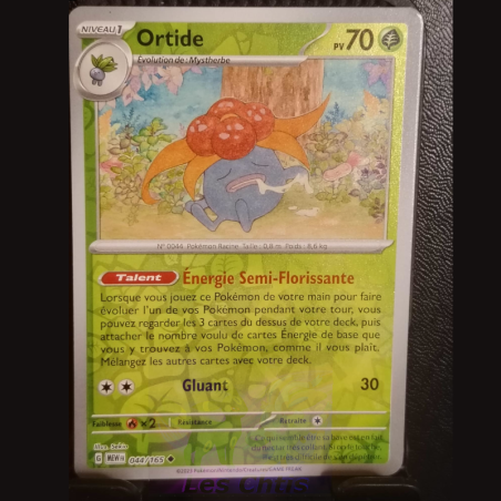 Ortide 44/165