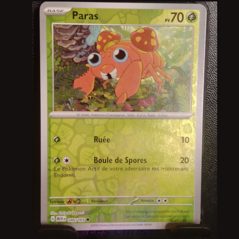 Paras 46/165