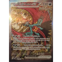 Cartes à l'unité FR