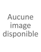 Commune